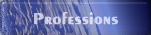 Professions and classes information.